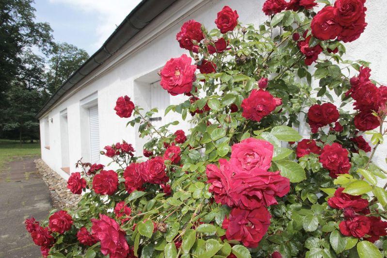 Ferienhaus Huus Ton Witten Barg อุนเดลอห์ ภายนอก รูปภาพ