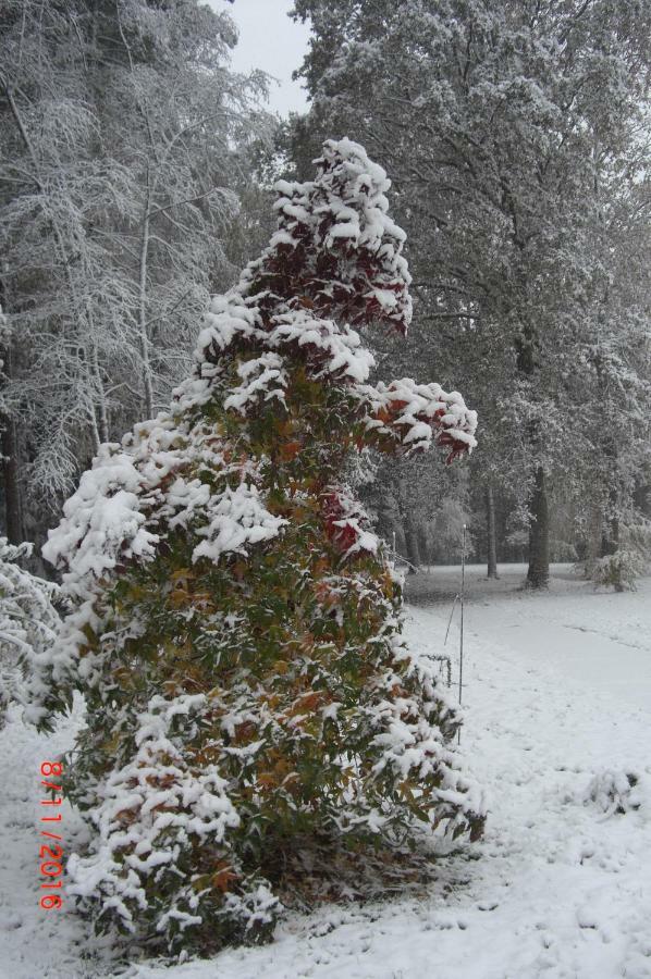 Ferienhaus Huus Ton Witten Barg อุนเดลอห์ ภายนอก รูปภาพ